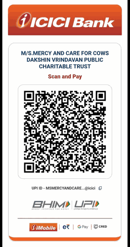 Dakshin Vrindavan ICICI QR code