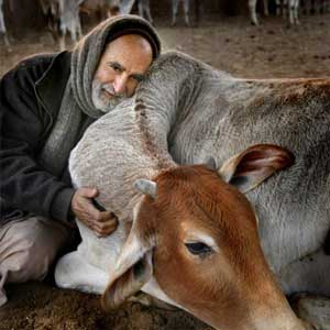 Kurma Rupa Dasa